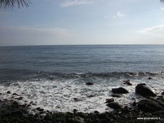 iazzette-13-11-2012 09-12-43